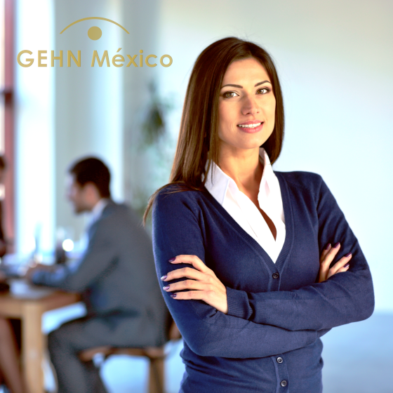 GEHN México - Auditorías y Asesorías